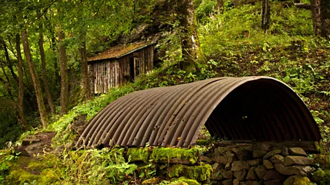 A rusted, ribbed metal roof. (Kirsten Amor)