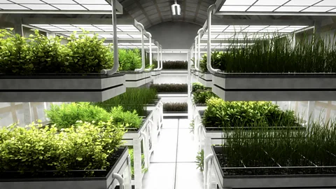 The astronauts would have to do everything from grow their own food to fix broken toilets - and fly their spaceship (Mars One)