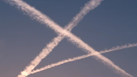 (Science Photo Library)