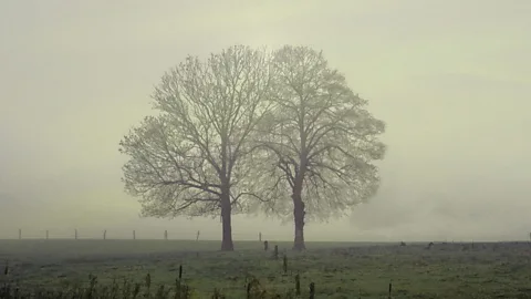 Hartwig HKD/Flickr/CC BY-ND 2.0)