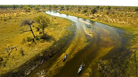 Selinda Spillway, Botswana