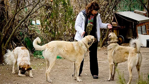 Dalene with some new friends after housesitting in Burhaniye, Turkey. (Pete Heck)