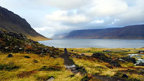 A fjord-filled peninsula. (Katie Hammel)