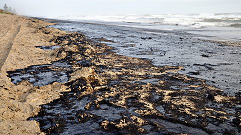 An oily polluted beach 