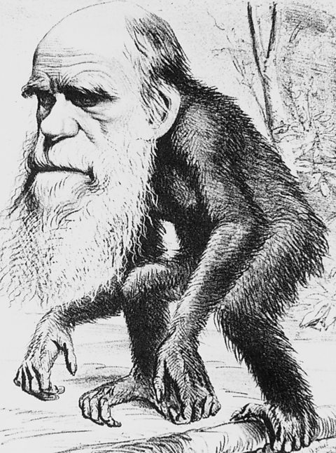 A cartoon of Darwin, showing him with the body of an ape. 