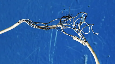 What would happen if we cut the cables under the sea? Not as much as you might think (Thinkstock)