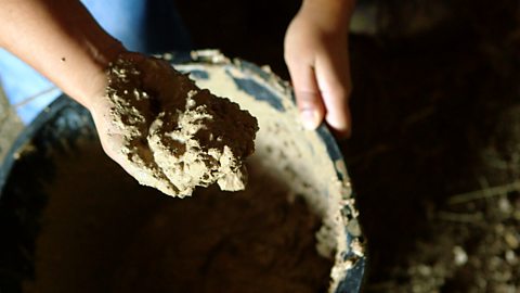 Stone Age farming and homes