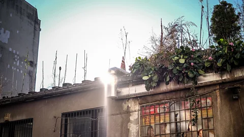 Sanjin Kastelan An enchanting rooftop garden on Jurišićeva street. (Credit: Sanjin Kastelan)