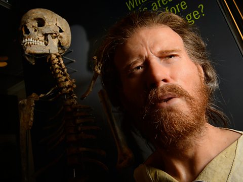  The skeleton of a Neolithic man displayed next to a recreation of his face 