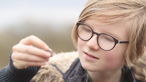 Timeline of life on Earth 