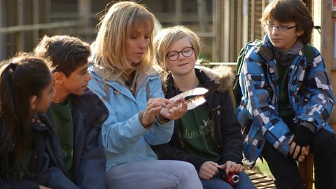 How animals have adapted to become successful predators