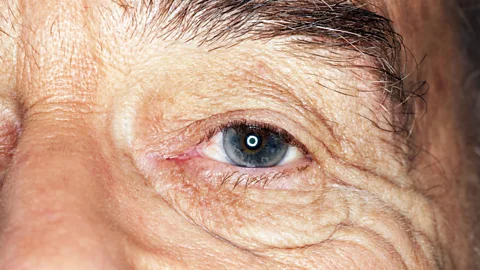 Getty Images (Credit: Getty Images)