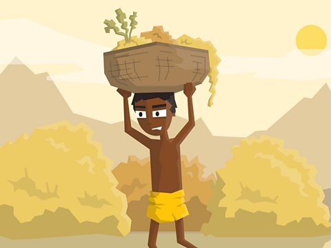 A boy in the Indus Valley carrying a basket