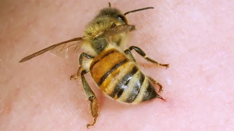 Science Photo Library (Credit: Science Photo Library)