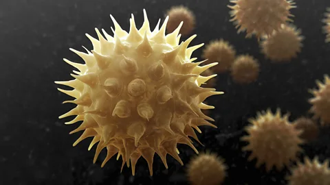 Science Photo Library (Credit: Science Photo Library)