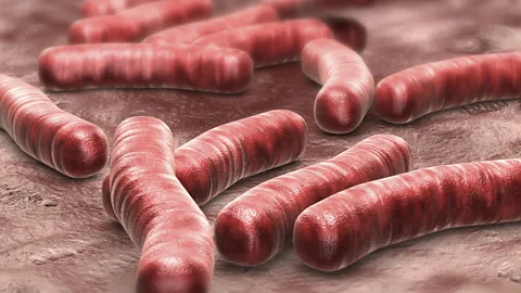 Science Photo Library The body may have another line of defence that reacts to invaders more quickly than antibodies (Credit: Science Photo Library)