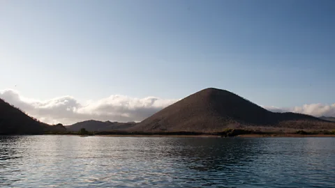 A Davey/Flickr A view of Floreana Island. (Credit: A Davey/Flickr)