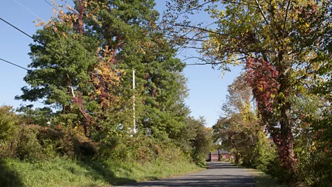 Amanda Ruggeri Old Tophet Road (Credit: Amanda Ruggeri)