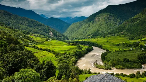 Como Hotels and Resorts A river snakes its way through Bhutan's lush fields (Credit: Como Hotels and Resorts)