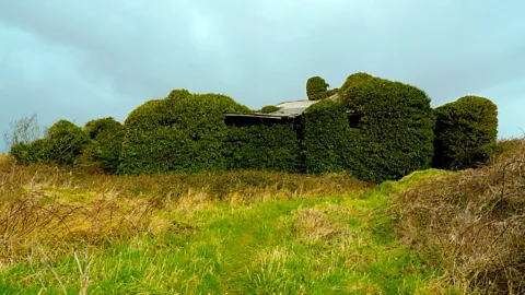 Alice Miller Elsinore, Yeats' childhood summer home (Credit: Alice Miller)
