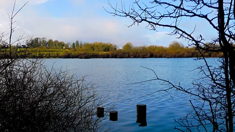 Alice Miller A serene lake with distant drifting swans (Credit: Alice Miller)