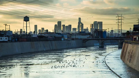 Hal Bergman/Getty A contrast between nature and industrial life (Credit: Hal Bergman/Getty)