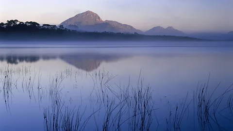 Ted Mead/Getty Images Mt Rugby is reflected in misty Bathurst Harbour (Credit: Ted Mead/Getty Images)