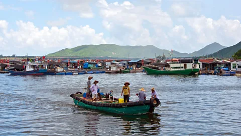 Saving sea turtles from soup