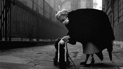 A woman and her dog both wear masks in London's deadly smog, December 1952.