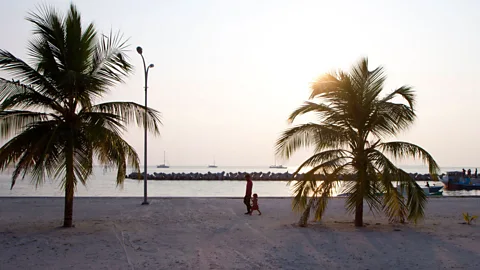 Diane Selkirk Strolling along the beach at sunset (Credit: Diane Selkirk)