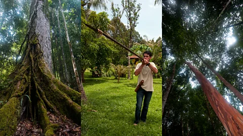 Marlene Goldman Learning to use a traditional silent blowpipe (Credit: Marlene Goldman)