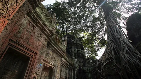 AFP/Getty A silk-cotton tree growing inside Ta Prohm temple (Credit: AFP/Getty)