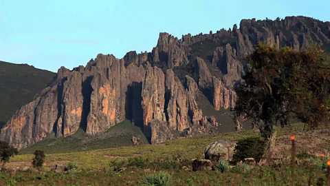 Pamela Robbie A view of Bale Mountain National Park (Credit: Pamela Robbie)