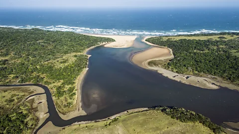 SPL Where the river meets the sea, there's energy to explot (Credit: SPL)