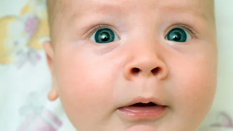 Alamy Some six-month-old babies show the capacity to recognise other faces (Credit: Alamy)