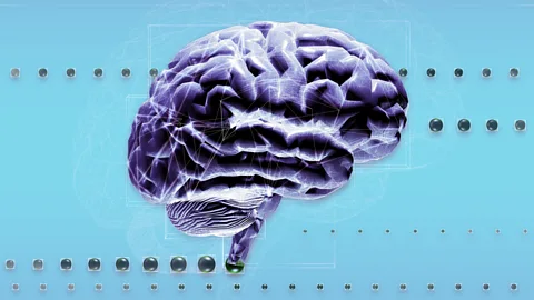 SPL We connect up our brains, and it's one of our defining traits (Credit: SPL)