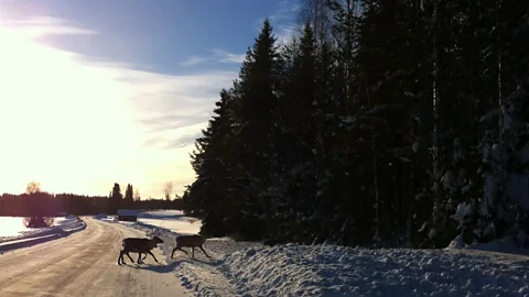 Jonathan Knott Entering Burträsk (Credit: Jonathan Knott)