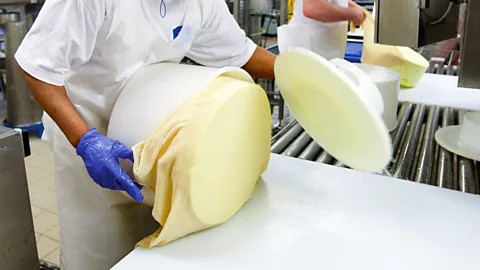 Västerbottensost® Forming the cheese into its round shape (Credit: Västerbottensost®)