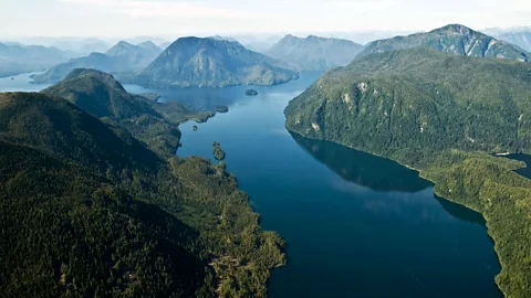 Great Bear Rainforest