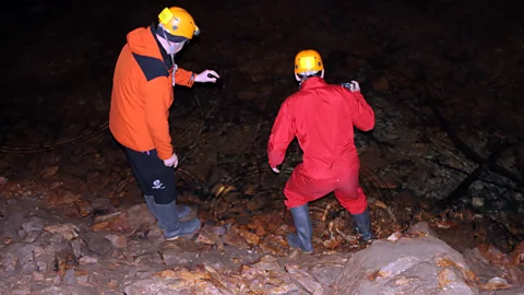 Simon and Susan Veness Exploring the cave waters for the proteus (Credit: Simon and Susan Veness)