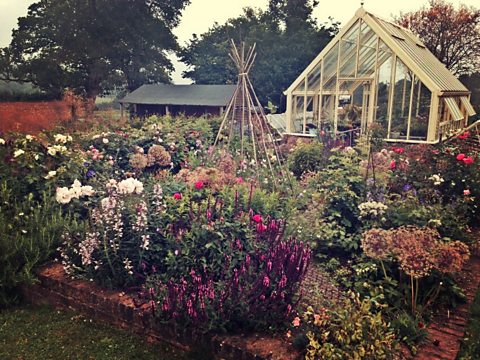 Creating a Cut-Flower Patch