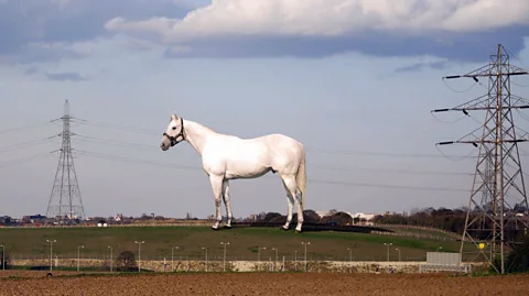 Rex Features Martin Wallinger’s design for a massive sculpture of a white horse won a competition for a new national landmark but was never built (Credit: Rex Features)
