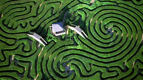 Adrian Fisher/Adrian Fisher Design (Credit: Adrian Fisher/Adrian Fisher Design)