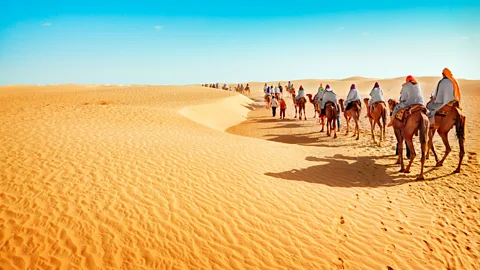 Thinkstock Humanity's footprint extends to all places, even deserts (Credit: Thinkstock)