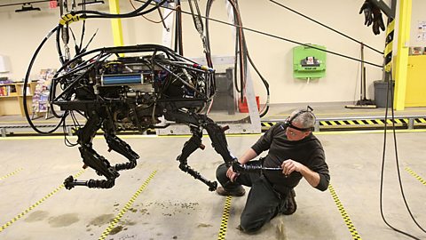Big Dog, a robot with four legs resembling a dog. 