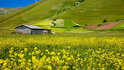 Your emotional state impacts on how you see colour.