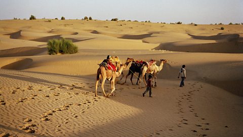 case study of thar desert