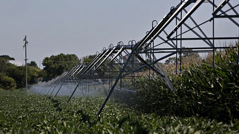 Irrigation