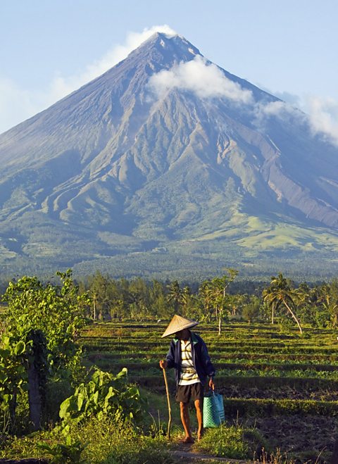A man works in a field with Mount Mayon in the distance