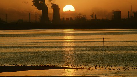 The River Tees estuary and its mudflats